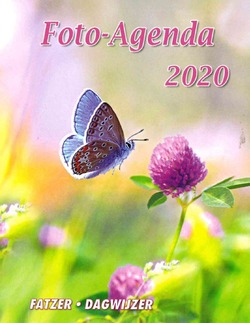 FOTO AGENDA 2020 SV - 20739033