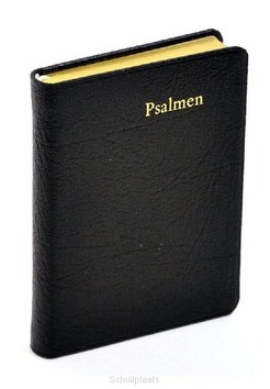 PSALMBOEK P22 LEER GOUDSNEE - 2222530296