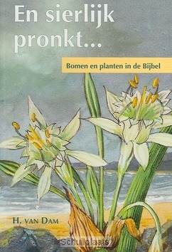 EN SIERLIJK PRONKT - DAM - 2222532396