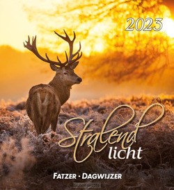 KALENDER 2023 HSV STRALEND LICHT - 23739014