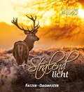 KALENDER 2023 HSV STRALEND LICHT - 23739014