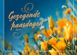 PRENTBRIEFKAART GEZEGENDE PAASDAGEN - PASEN L4Y - 65508017