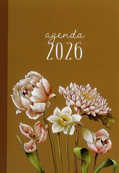 STUDIO SCHILDERACHTIG AGENDA 2026 - STUDIO SCHILDERACHTIG - 655088095