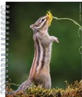 NEDERLAND NATUURLAND WEEKAGENDA 2023 - 8716951346853