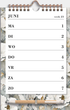 SPIRAALKALENDER A5 D3 2026/2027 - DE HOBBIT - 8719231303263