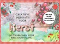 CREATIVE INSPIRATIE VOOR KERST - 8719324353519