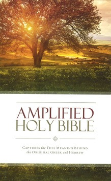 AMPLIFIED HOLY BIBLE - THINLINE [2015] - 9780310443872