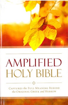THE AMPLIFIED OUTREACH BIBLE - ZONDERVAN - 9780310447009