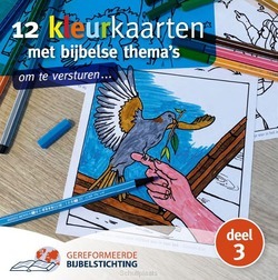 12 KLEURKAARTEN DL3 MET BIJBELSE THEMA S - 9782222539025