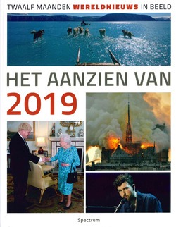 HET AANZIEN VAN 2019 - BREE, HAN VAN - 9789000366521