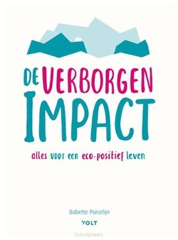 DE VERBORGEN IMPACT - PORCELIJN, BABETTE - 9789021408309