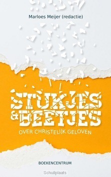 STUKJES EN BEETJES - MEIJER, MARLOES - 9789023954798