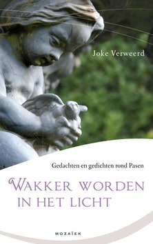 WAKKER WORDEN IN HET LICHT - VERWEERD, J. - 9789023993704