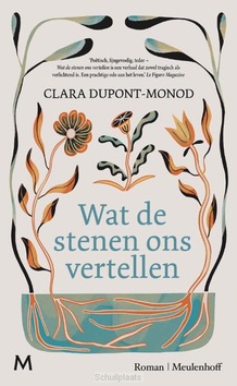 WAT DE STENEN ONS VERTELLEN - DUPONT-MONOD, CLARA - 9789029096256