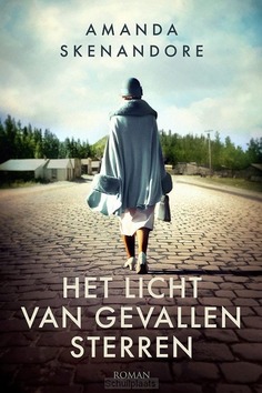 HET LICHT VAN GEVALLEN STERREN - SKENANDORE, AMANDA - 9789029738828