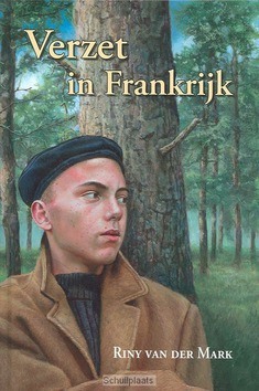VERZET IN FRANKRIJK - MARK - 9789033118739