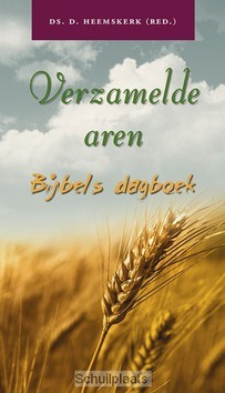 VERZAMELDE AREN 2019 - BIJBELS DAGBOEK - 9789033129285