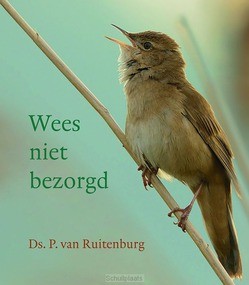 WEES NIET BEZORGD - RUITENBURG, DS. P. VAN - 9789033130809