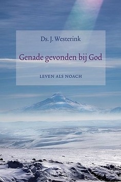 GENADE GEVONDEN BIJ GOD - WESTERINK, J. - 9789033130922