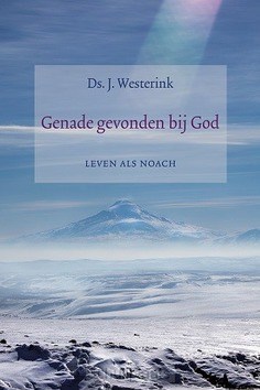 GENADE GEVONDEN BIJ GOD - WESTERINK, J. - 9789033130922