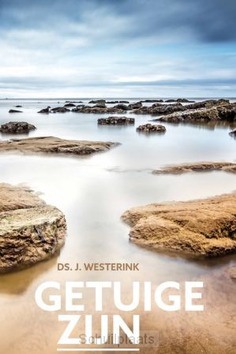 GETUIGE ZIJN - WESTERINK, J. - 9789033132537