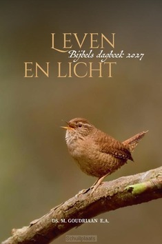 LEVEN EN LICHT - GOUDRIAAN, M - 9789033133947