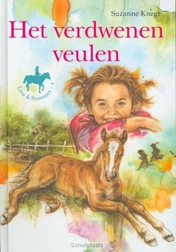 VERDWENEN VEULEN - KNEGT, S. - 9789033630033