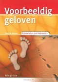 VOORBEELDIG GELOVEN (HEB. 11) - REUVER, RENE DE - 9789033800283