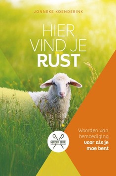 HIER VIND JE RUST - KOENDERINK, JONNEKE - 9789033801846