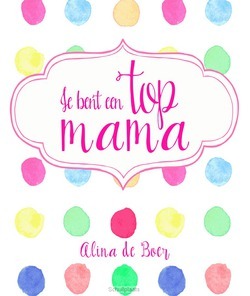 JE BENT EEN TOP MAMA - BOER, ALINE DE - 9789033817809