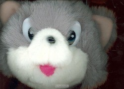 PLUCHEBOEKJE POES SET 3 - HUISMAN - 9789033830839