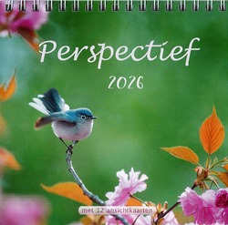 KALENDER 2025  PERSPECTIEF NBV - 2025 - 9789033870323