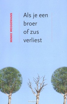 WANNEER JE EEN BROER OF ZUS VERLIEST - WEGGEMANS, MINKE - 9789043523981