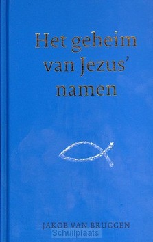 HET GEHEIM VAN JEZUS' NAMEN - BRUGGEN, JAKOB VAN - 9789043527248