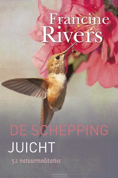 DE SCHEPPING JUICHT - RIVERS, FRANCINE - 9789043527804