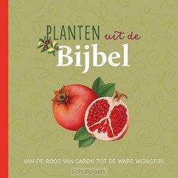 PLANTEN UIT DE BIJBEL - DINSMORE, JUDITH - 9789043534604