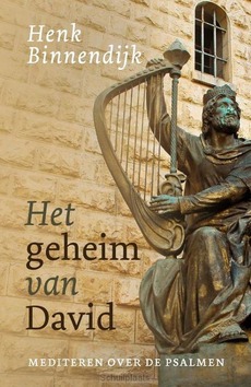 HET GEHEIM VAN DAVID - BINNENDIJK, HENK - 9789043539173