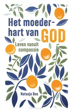HET MOEDERHART VAN GOD - BOS, NATASJA - 9789043542593
