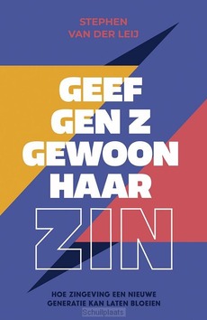 GEEF GEN Z GEWOON HAAR ZIN - LEIJ, STEPHEN VAN DER - 9789043542647