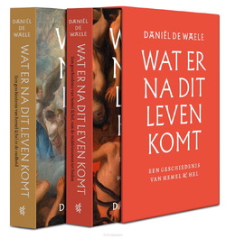 WAT ER NA DIT LEVEN KOMT - WAELE, DANIËL DE - 9789043545044