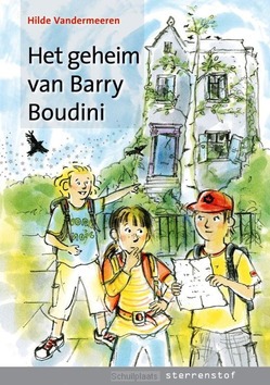 HET GEHEIM VAN BARRY BOUDINI - VANDERMEEREN, HILDE - 9789043703871