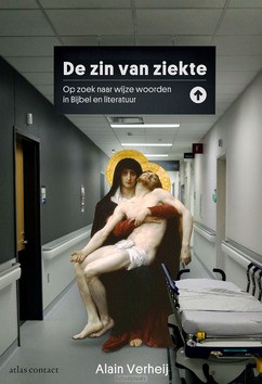 DE ZIN VAN ZIEKTE - VERHEIJ, ALAIN - 9789045050317