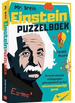 MR. BREIN EINSTEIN PUZZELBOEK - MOORE, GARETH - 9789045328409