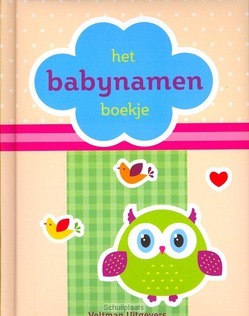 BABYNAMEN BOEKJE - 9789048306695