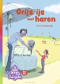 GRIJS IJS MET HAREN