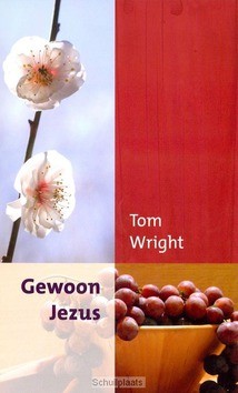 GEWOON JEZUS - WRIGHT, TOM - 9789051944518