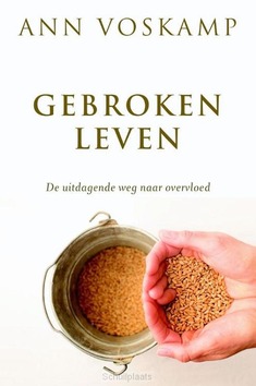 GEBROKEN LEVEN - VOSKAMP, ANN - 9789051946284