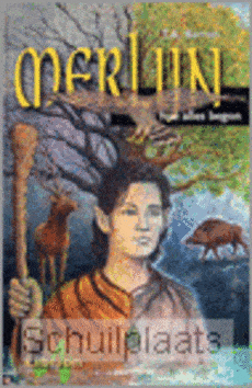 MERLIJN HOE ALLES BEGON - BARRON - 9789052900094