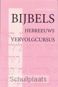 Bijbels Hebreeuws / Vervolgcursus - Jagersma, H. - 9789057190865