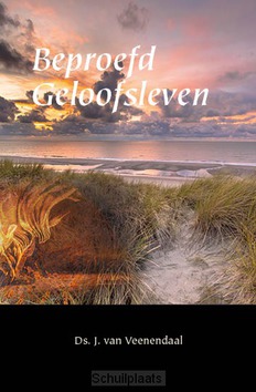 BEPROEFD GELOOFSLEVEN - VEENENDAAL, J. VAN - 9789057414039